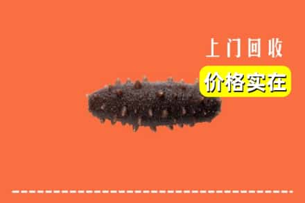 诚信求购:文山州马关高价回收海参