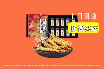 文山州马关回收虫草